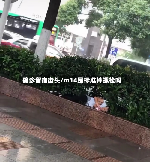 确诊留宿街头/m14是标准件螺栓吗-第3张图片