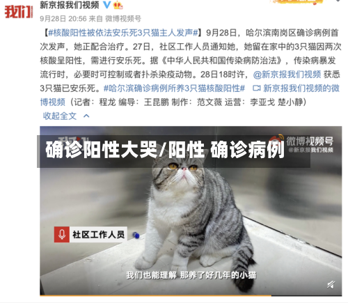确诊阳性大哭/阳性 确诊病例-第2张图片