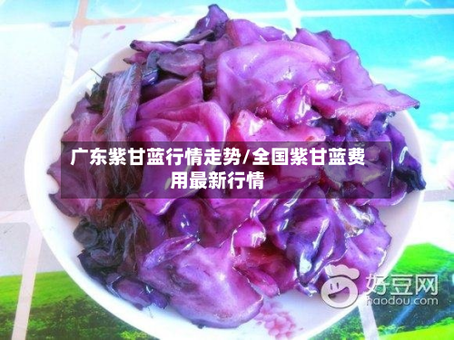 广东紫甘蓝行情走势/全国紫甘蓝费用最新行情