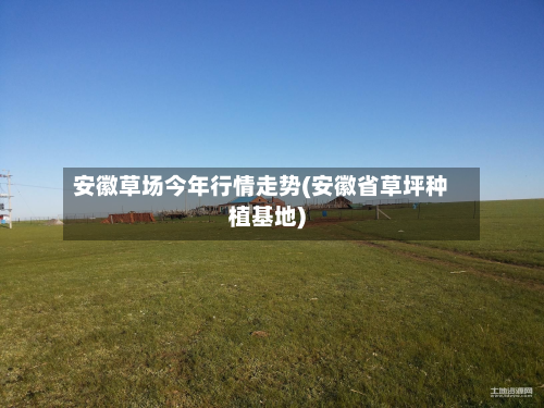 安徽草场今年行情走势(安徽省草坪种植基地)-第2张图片