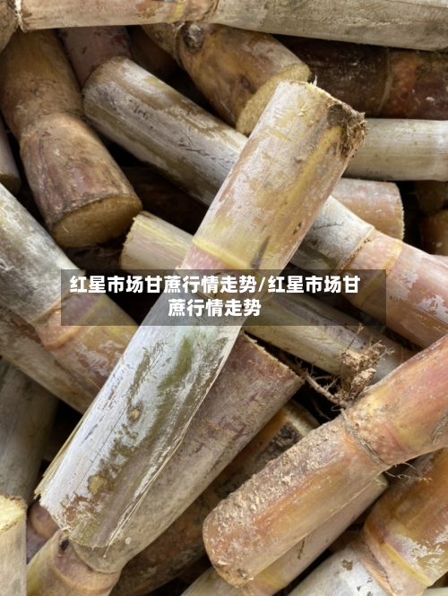 红星市场甘蔗行情走势/红星市场甘蔗行情走势-第3张图片