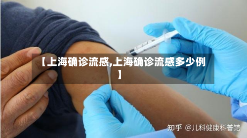 【上海确诊流感,上海确诊流感多少例】-第2张图片