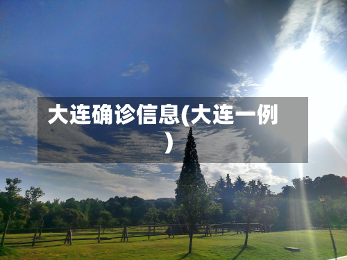 大连确诊信息(大连一例)-第3张图片