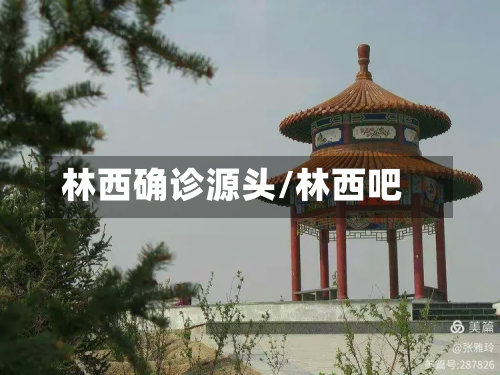 林西确诊源头/林西吧-第2张图片