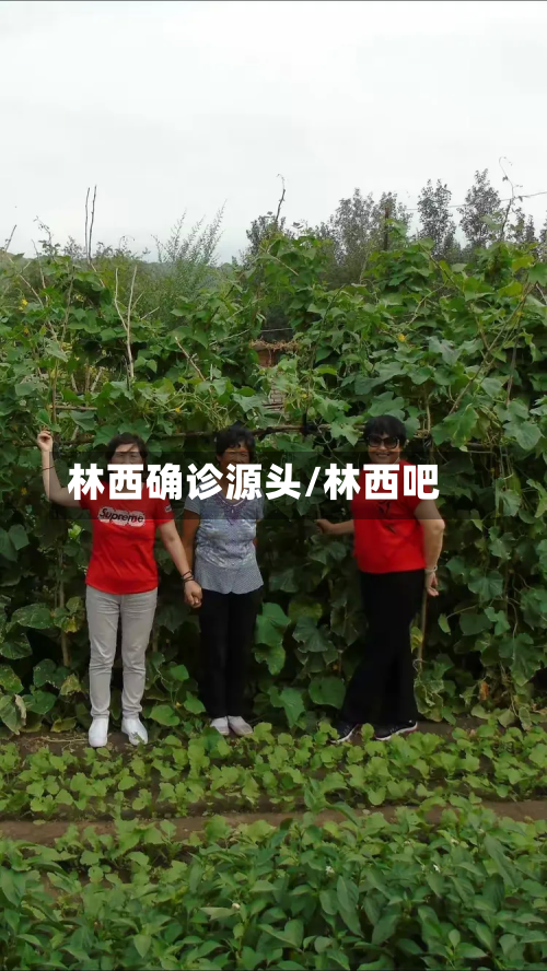 林西确诊源头/林西吧