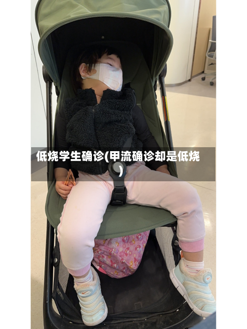 低烧学生确诊(甲流确诊却是低烧)-第2张图片