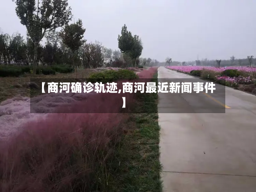 【商河确诊轨迹,商河最近新闻事件】