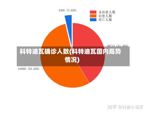 科特迪瓦确诊人数(科特迪瓦国内局势情况)-第2张图片