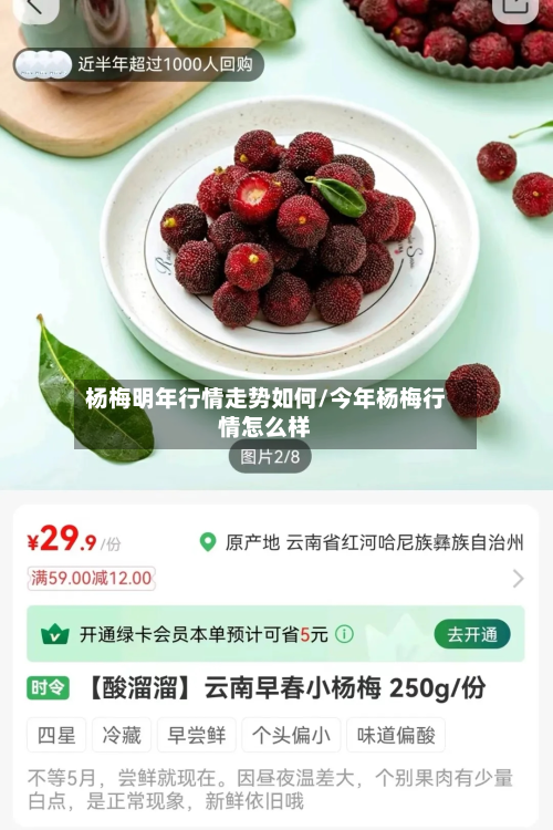 杨梅明年行情走势如何/今年杨梅行情怎么样
