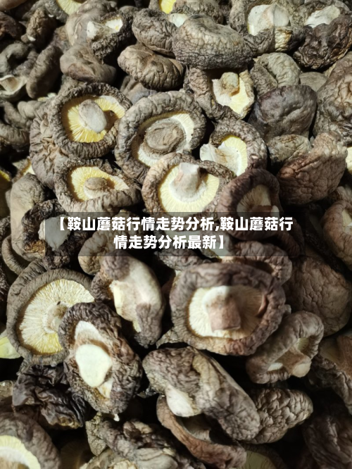 【鞍山蘑菇行情走势分析,鞍山蘑菇行情走势分析最新】-第2张图片