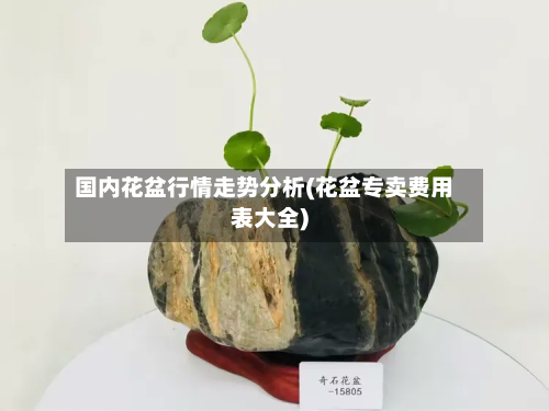 国内花盆行情走势分析(花盆专卖费用表大全)-第3张图片