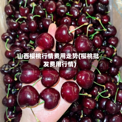 山西樱桃行情费用走势(樱桃批发费用行情)