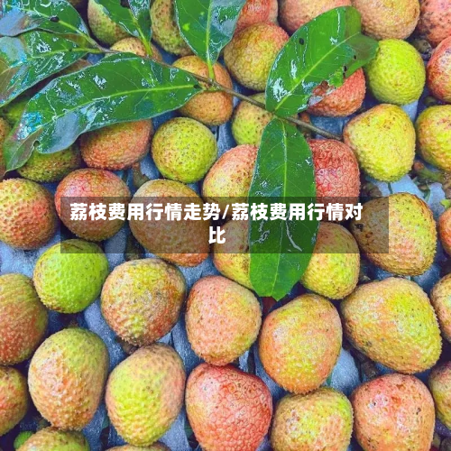 荔枝费用行情走势/荔枝费用行情对比-第2张图片
