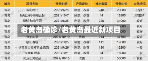 老黄岛确诊/老黄岛最近新项目-第2张图片