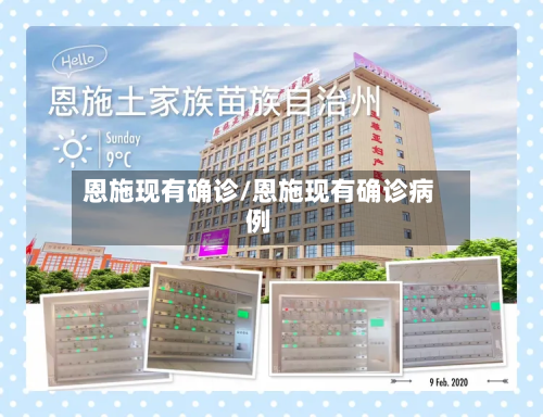 恩施现有确诊/恩施现有确诊病例-第3张图片