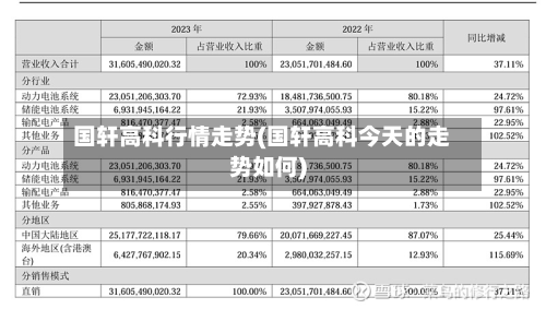 国轩高科行情走势(国轩高科今天的走势如何)-第2张图片