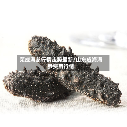 荣成海参行情走势最新/山东威海海参费用行情