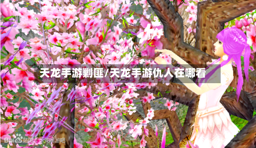 天龙手游剿匪/天龙手游仇人在哪看
