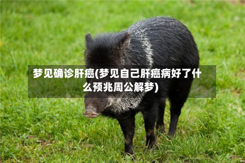 梦见确诊肝癌(梦见自己肝癌病好了什么预兆周公解梦)-第2张图片