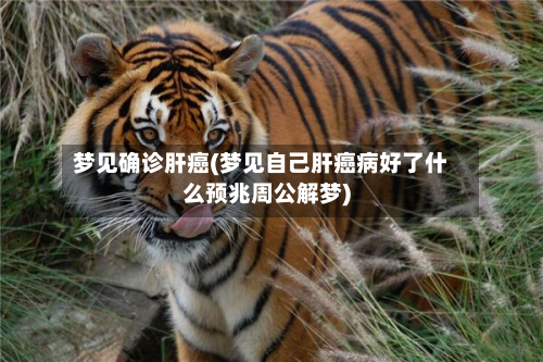 梦见确诊肝癌(梦见自己肝癌病好了什么预兆周公解梦)