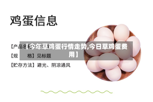 【今年草鸡蛋行情走势,今日草鸡蛋费用】-第2张图片