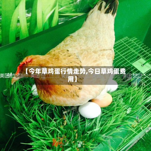 【今年草鸡蛋行情走势,今日草鸡蛋费用】