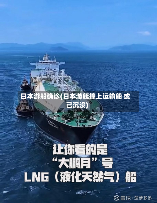 日本游船确诊(日本游艇撞上运输船 或已沉没)