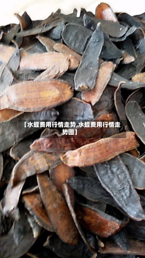 【水蛭费用行情走势,水蛭费用行情走势图】-第3张图片