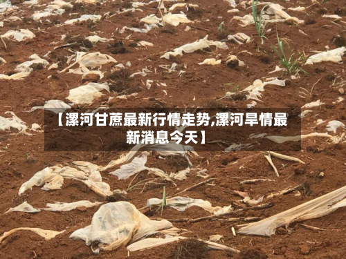 【漯河甘蔗最新行情走势,漯河旱情最新消息今天】