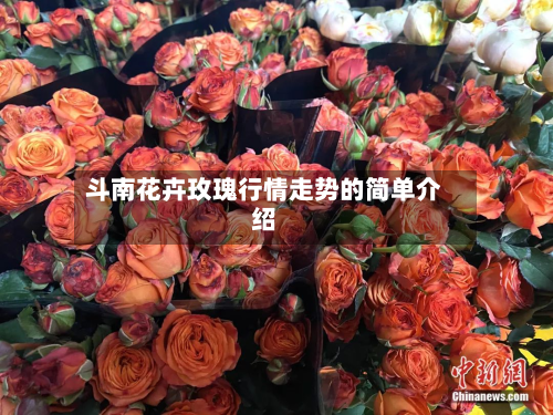 斗南花卉玫瑰行情走势的简单介绍