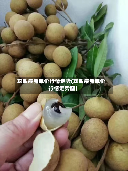 龙眼最新单价行情走势(龙眼最新单价行情走势图)-第2张图片