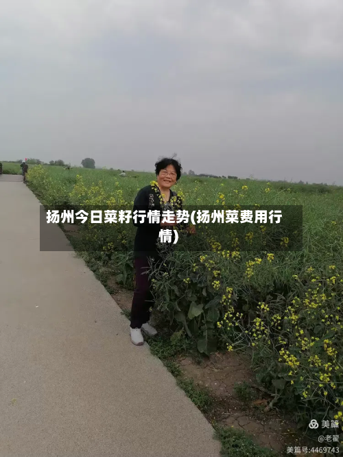 扬州今日菜籽行情走势(扬州菜费用行情)-第2张图片