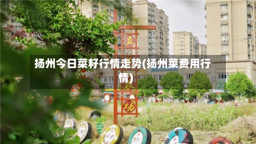 扬州今日菜籽行情走势(扬州菜费用行情)-第3张图片