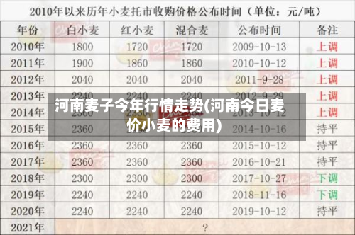 河南麦子今年行情走势(河南今日麦价小麦的费用)-第2张图片