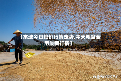 【本地今日粮价行情走势,今天粮食费用最新行情】