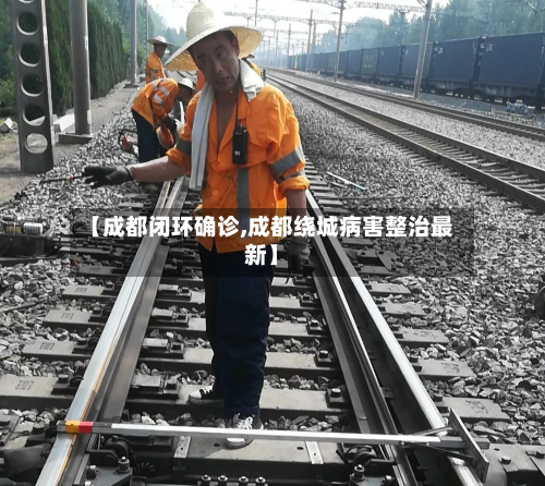 【成都闭环确诊,成都绕城病害整治最新】-第3张图片