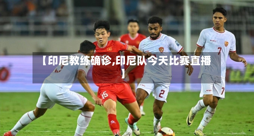 【印尼教练确诊,印尼队今天比赛直播】-第3张图片