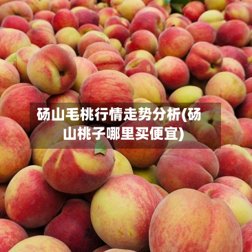 砀山毛桃行情走势分析(砀山桃子哪里买便宜)-第3张图片