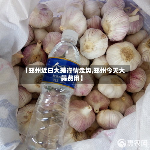 【邳州近日大蒜行情走势,邳州今天大蒜费用】-第2张图片