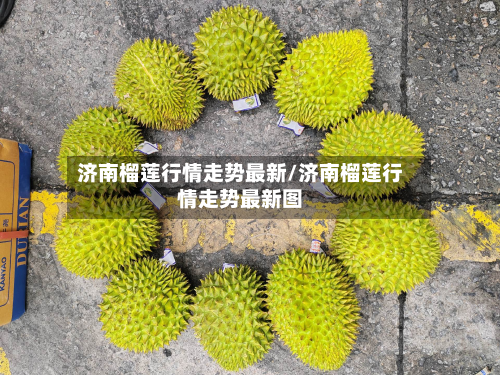 济南榴莲行情走势最新/济南榴莲行情走势最新图