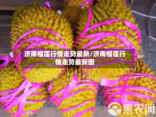 济南榴莲行情走势最新/济南榴莲行情走势最新图-第2张图片