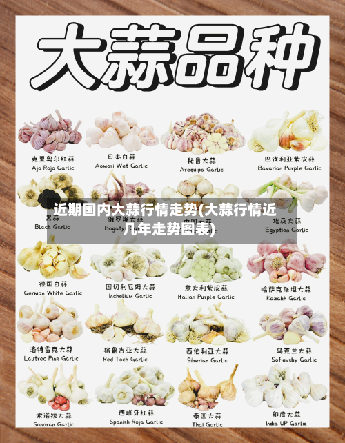 近期国内大蒜行情走势(大蒜行情近几年走势图表)-第2张图片