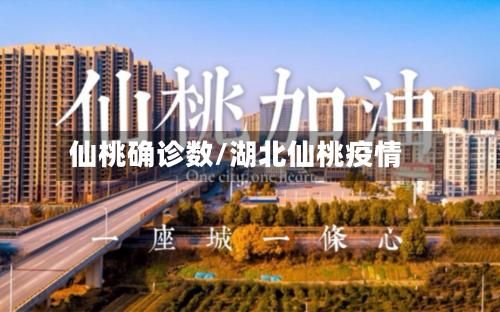 仙桃确诊数/湖北仙桃疫情-第2张图片