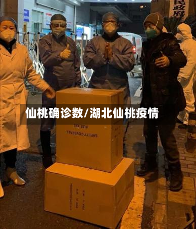 仙桃确诊数/湖北仙桃疫情-第3张图片
