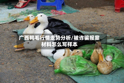 广西鸭毛行情走势分析/被诈骗报案材料怎么写样本-第2张图片