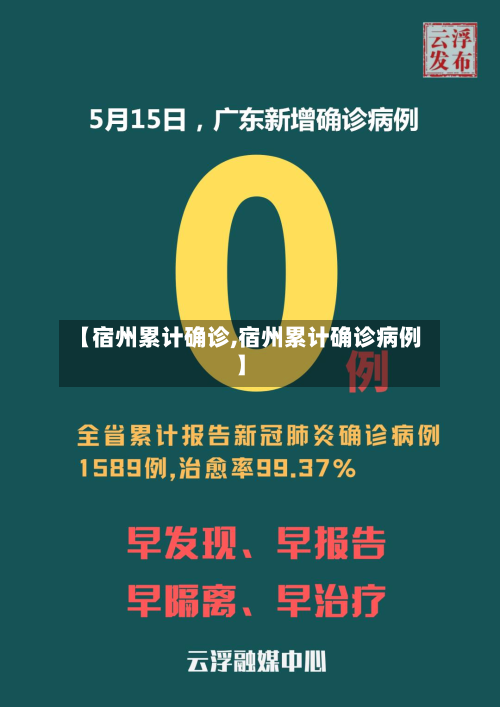 【宿州累计确诊,宿州累计确诊病例】-第2张图片