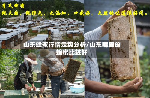 山东蜂蜜行情走势分析/山东哪里的蜂蜜比较好
