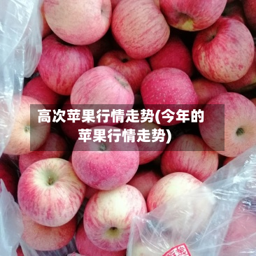 高次苹果行情走势(今年的苹果行情走势)