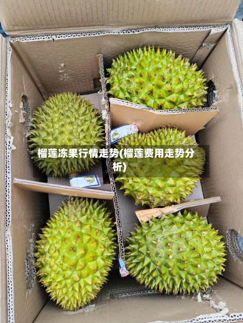 榴莲冻果行情走势(榴莲费用走势分析)-第2张图片