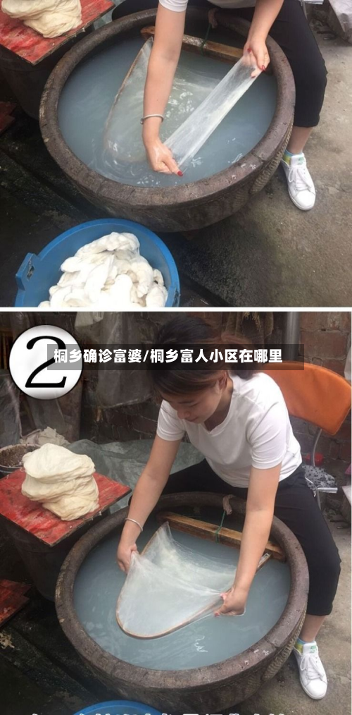 桐乡确诊富婆/桐乡富人小区在哪里-第2张图片